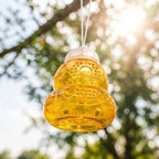 Wasp Trap Hanging Chemical-Free & Reusable