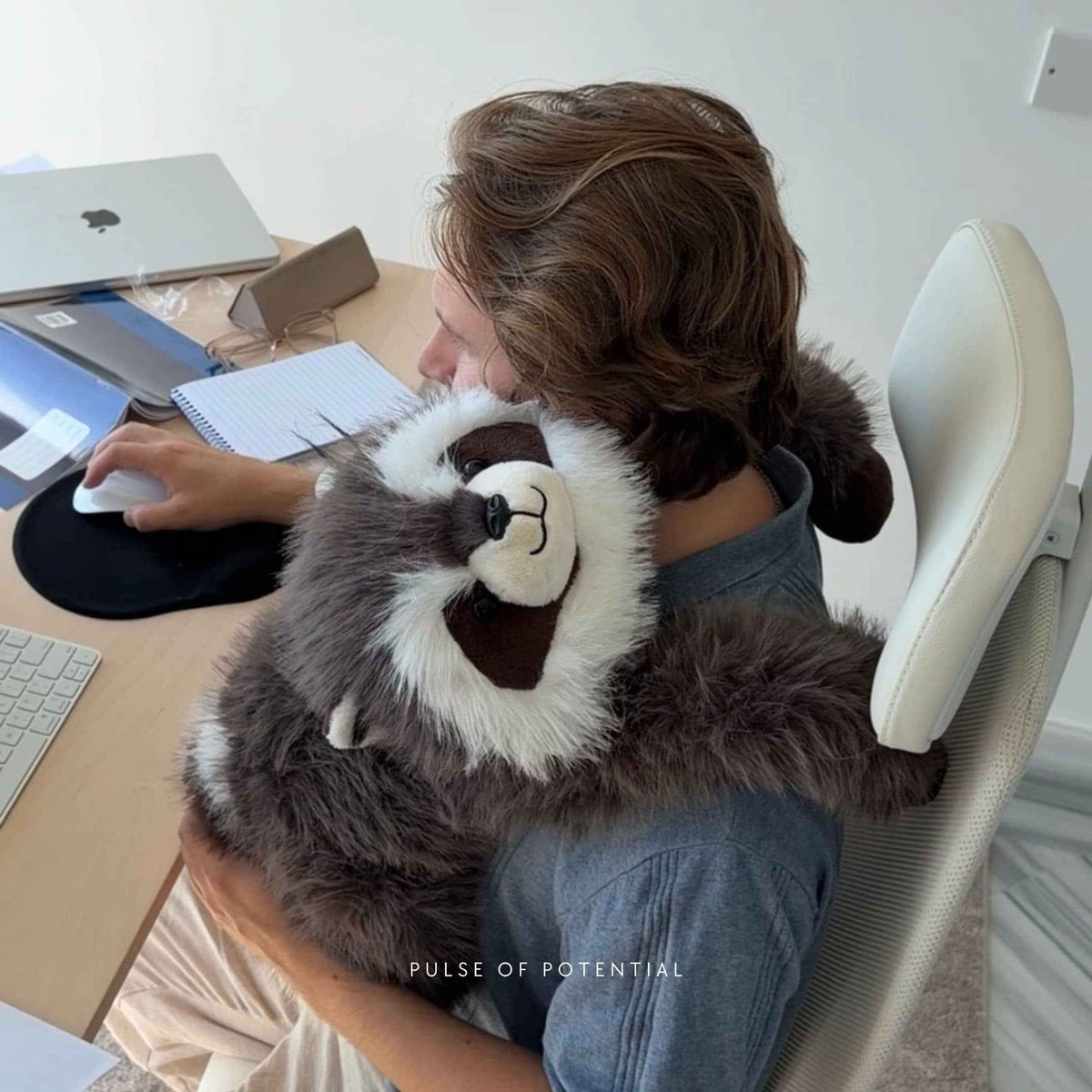 Weighted Stuffed Animal Raccoon Design Extra-Long Weighted Arms