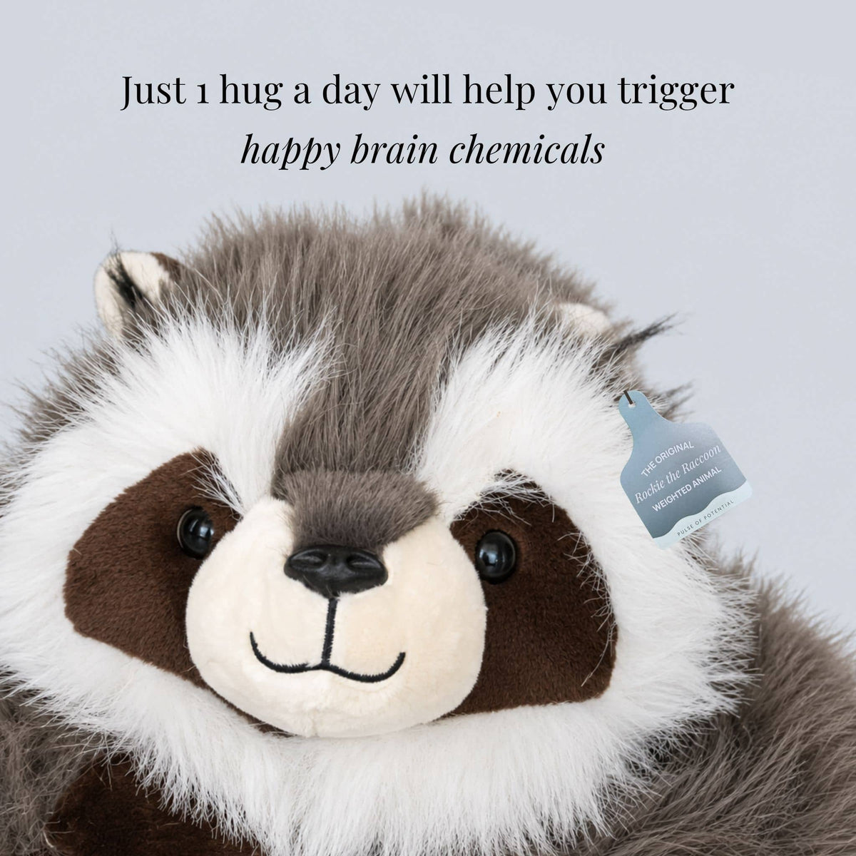 Weighted Stuffed Animal Raccoon Design Extra-Long Weighted Arms