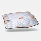Windshield Cover Ice & UV Protection Magnets & Straps