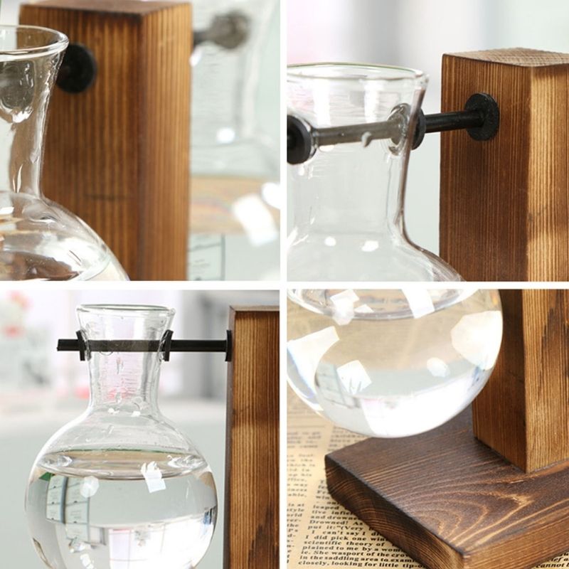 Glass and Wood Desktop Plant Holder