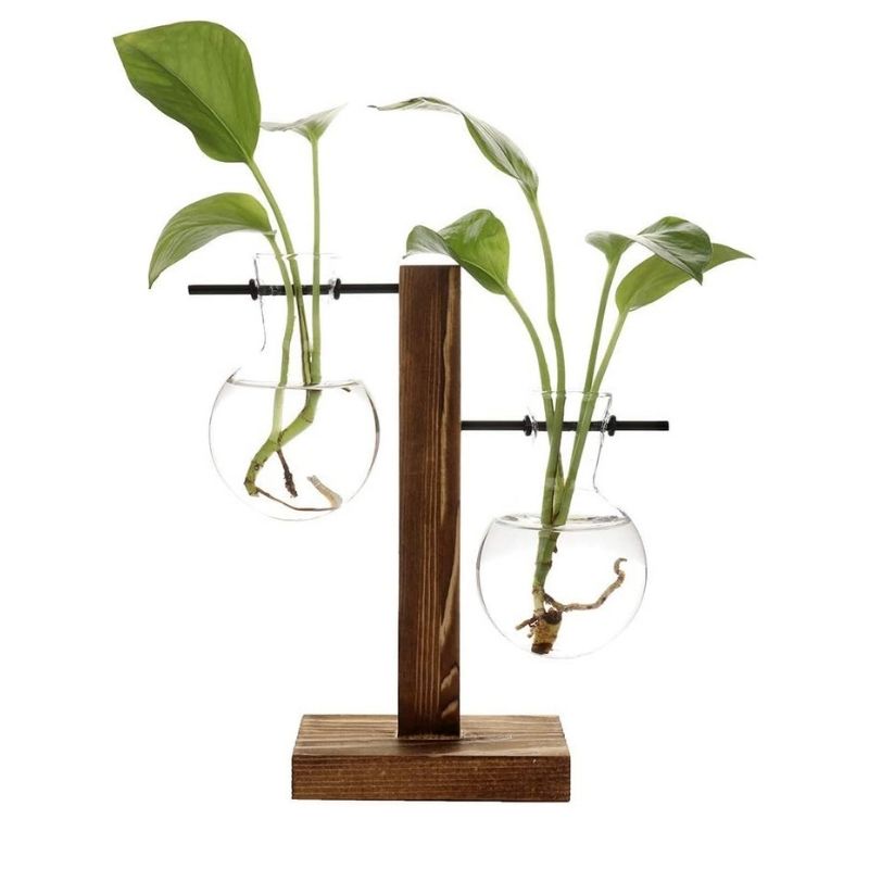 Glass and Wood Desktop Plant Holder