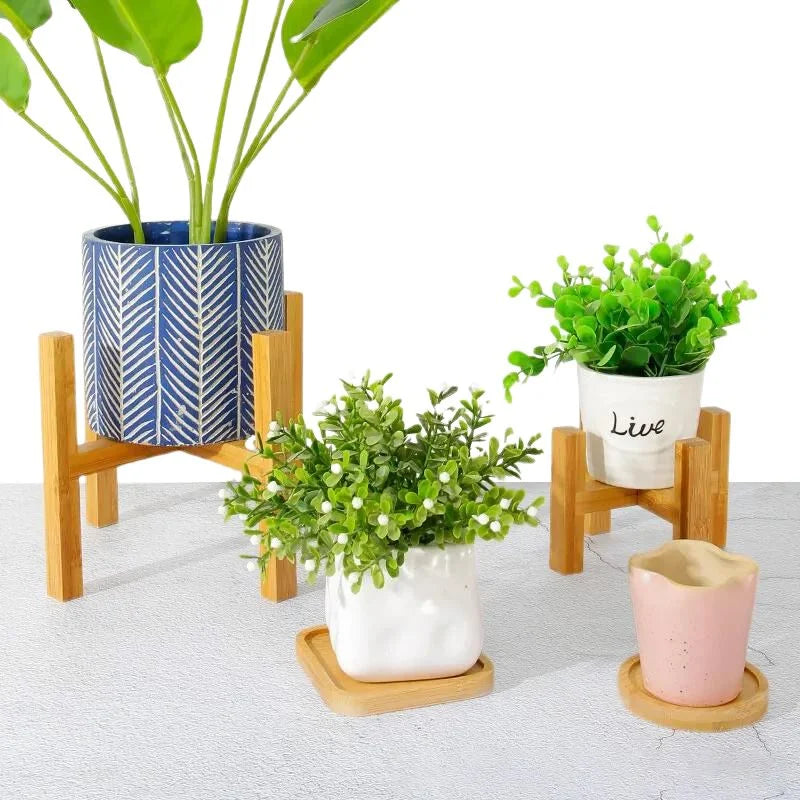 Wooden Saucers for Indoor Plant Pots