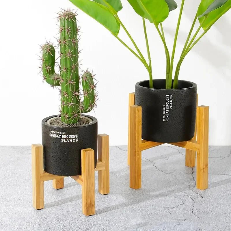 Wooden Saucers for Indoor Plant Pots