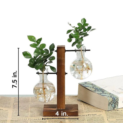 Glass and Wood Desktop Plant Holder