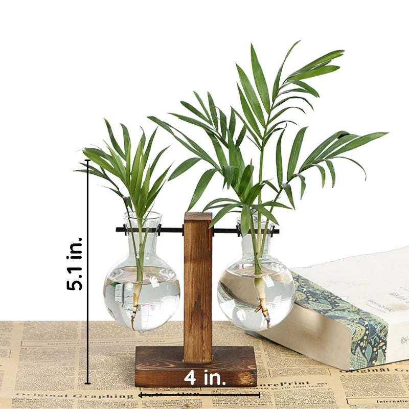 Glass and Wood Desktop Plant Holder