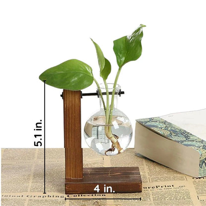 Glass and Wood Desktop Plant Holder