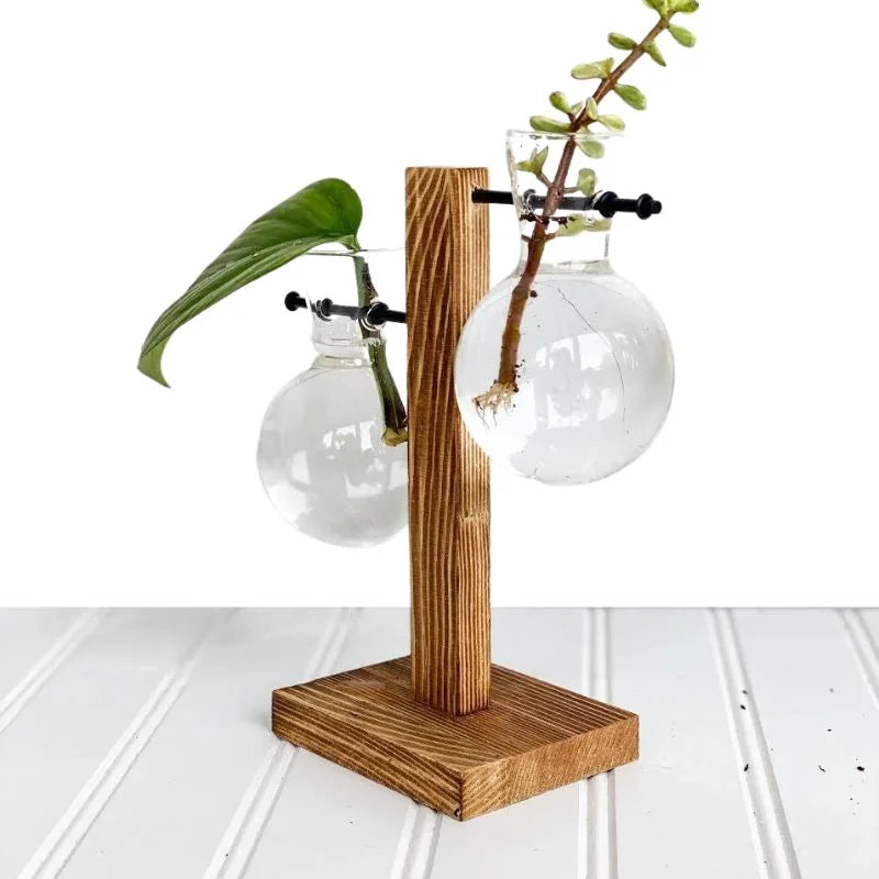 Glass and Wood Desktop Plant Holder