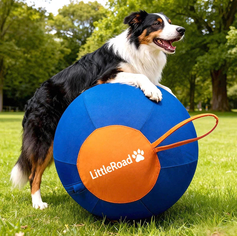 Dog Herding Ball Puncture-Resistant Cover Interactive Chase Toy