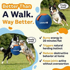Dog Herding Ball Puncture-Resistant Cover Interactive Chase Toy