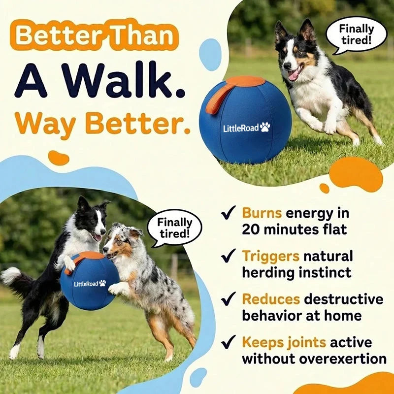 Dog Herding Ball Puncture-Resistant Cover Interactive Chase Toy