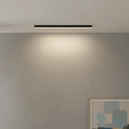 Ceiling Light Integrated LED Three Color Temperatures