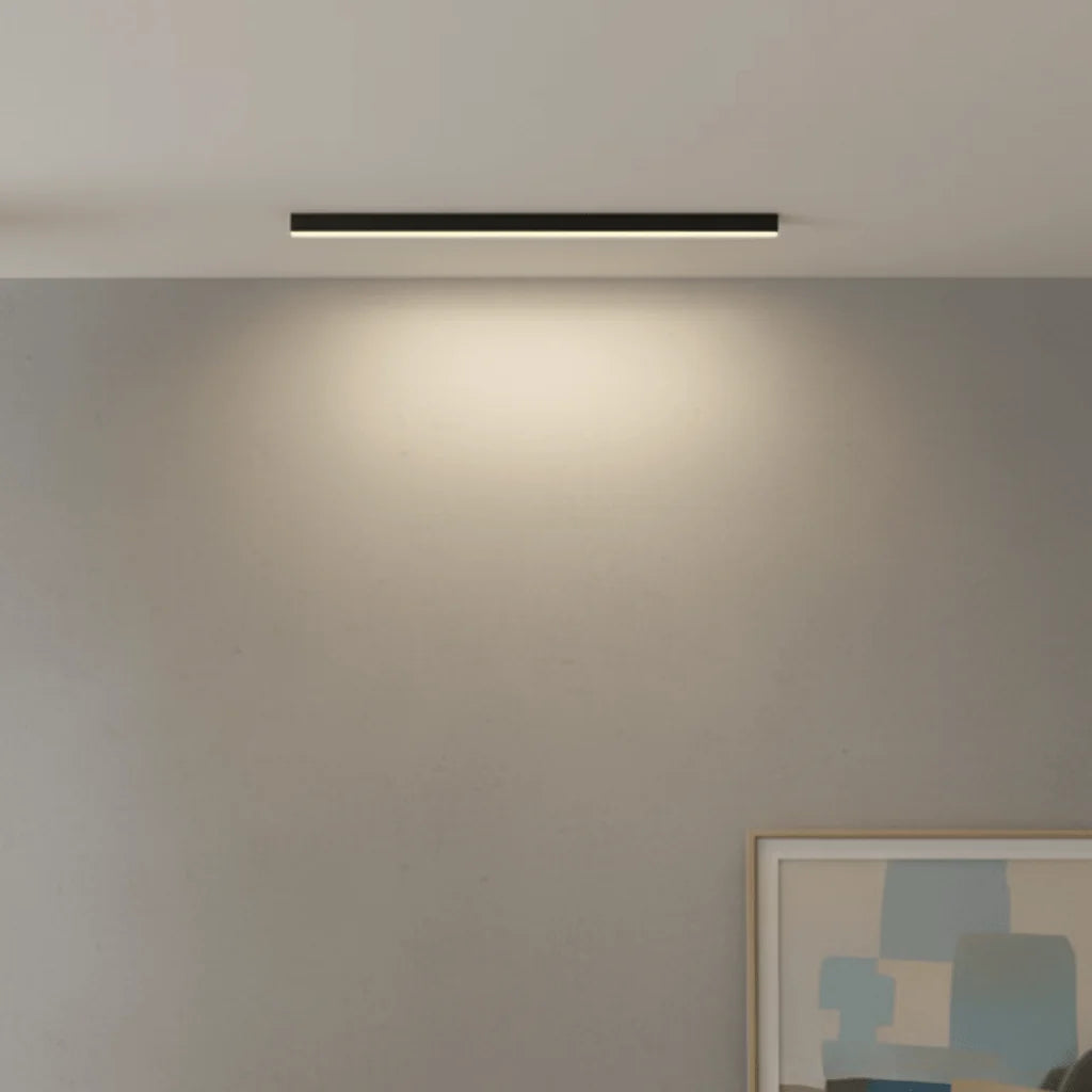 Ceiling Light Integrated LED Three Color Temperatures